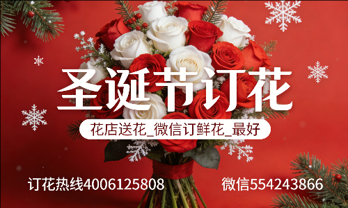 ��ݸݸ�ǻ���