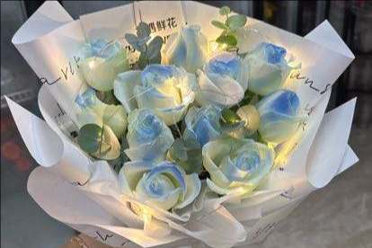��ݸݸ�ǻ���