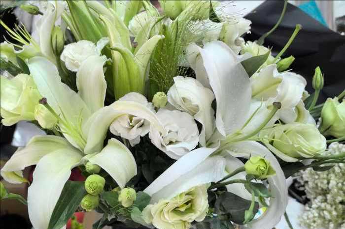 ��ݸݸ�ǻ���