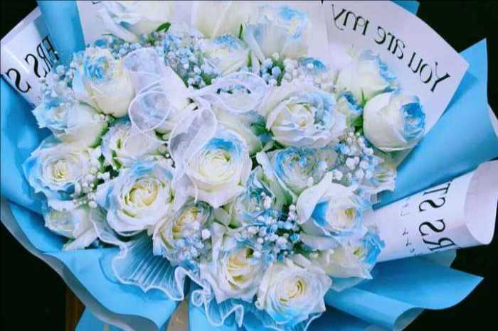 ��ݸݸ�ǻ���