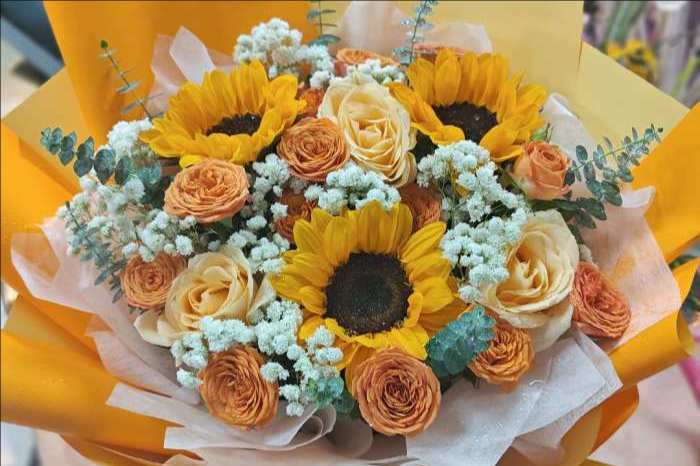 ��ݸݸ�ǻ���