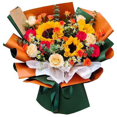 ��ݸݸ�ǻ���